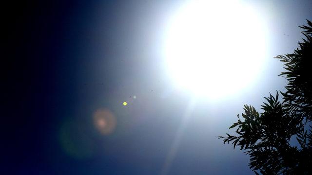 Havaların ısınmasıyla birlikte deri hastalıkları arttı