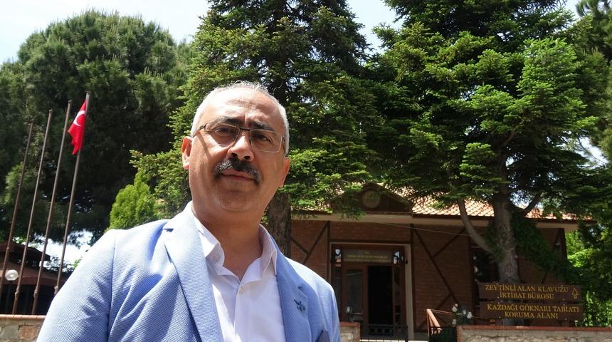 Tarihe y&ouml;n veren ağa&ccedil;; Kazdağı k&ouml;knarı