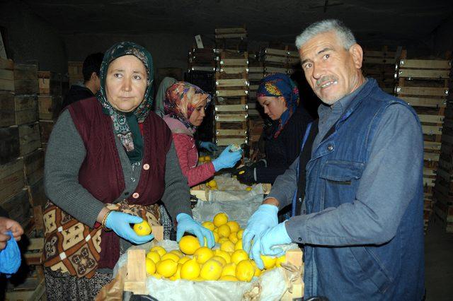 Limonlar, Kapadokya'da kayadan oyma depolarda korunuyor