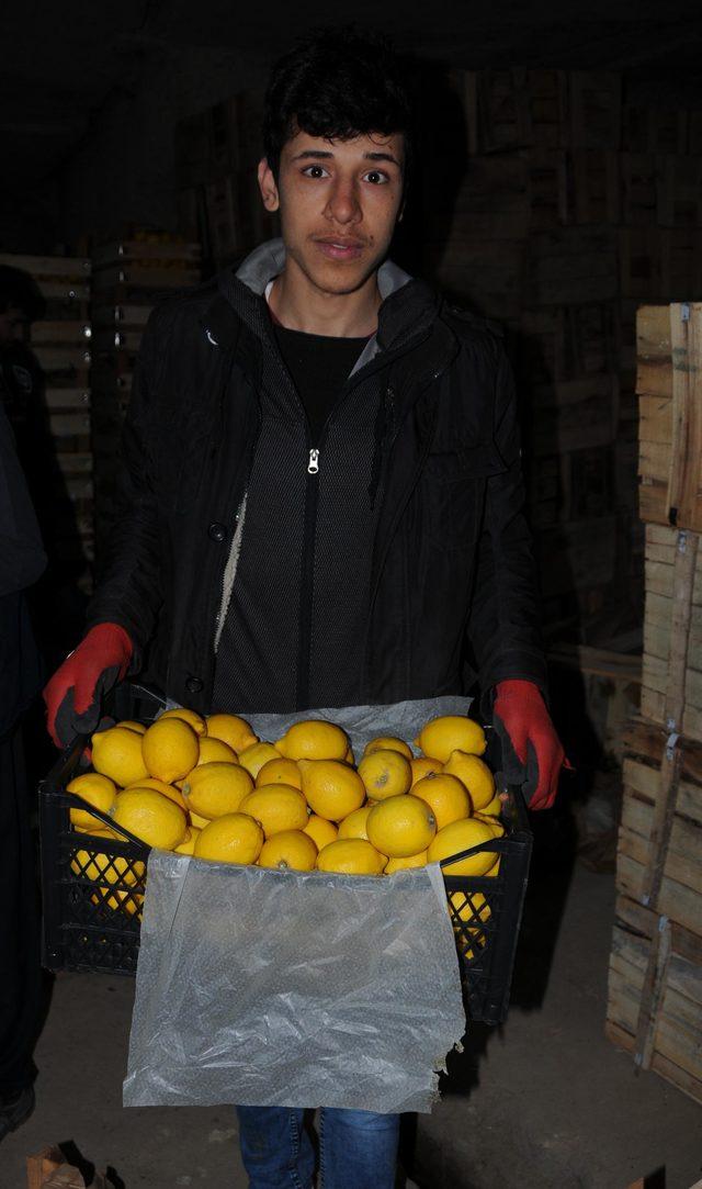 Limonlar, Kapadokya'da kayadan oyma depolarda korunuyor