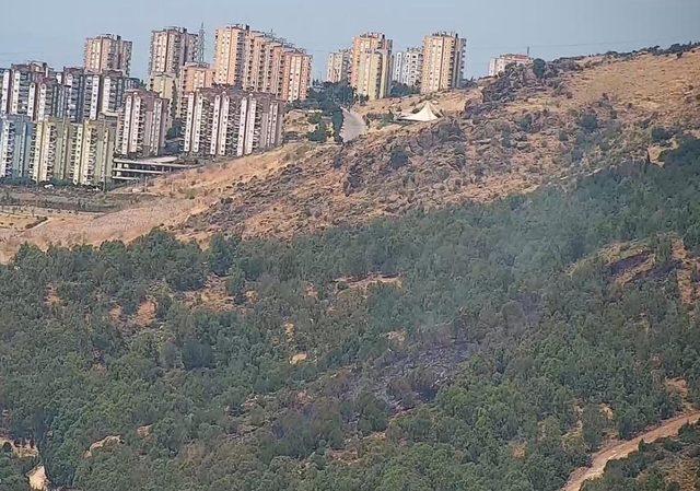 İzmir'de ormanda çıkan yangın söndürüldü, yakan aranıyor