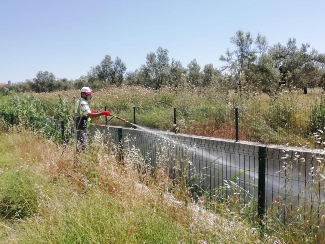 Edremit&rsquo;te sivrisinek seferberliği