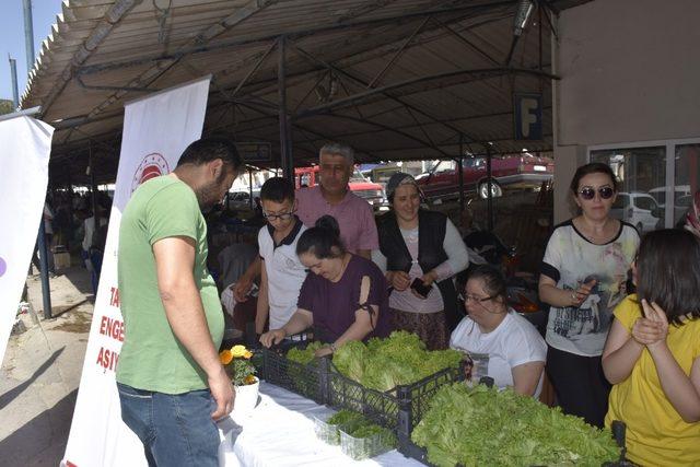 Engelli gençler yetiştirdikleri ürünleri hasat edip pazarda sattı