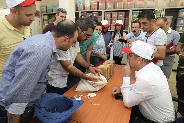 Tarla şartlarında çeşit tanıma eğitimi toplantısı