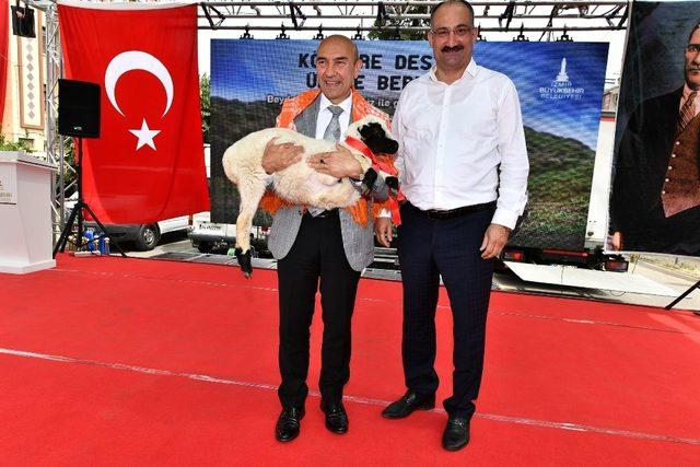 Büyükşehir Belediyesinin yaptığı küçükbaş hayvan hibesi 10 bini aştı