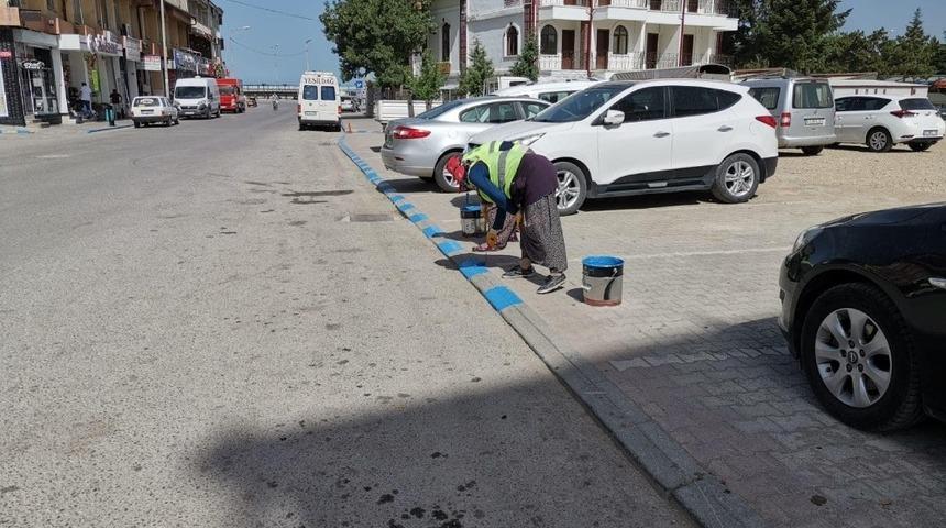 Beyşehir&rsquo;in caddeleri g&ouml;l mavisi renklere b&uuml;r&uuml;n&uuml;yor