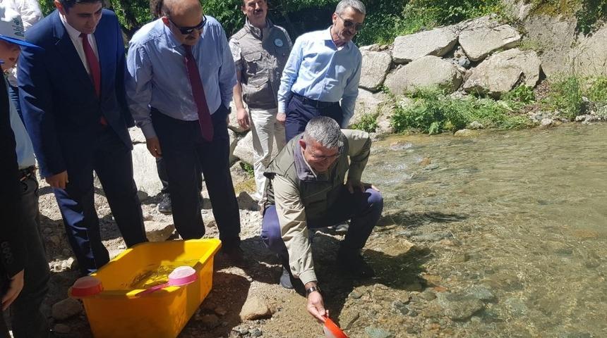 &rsquo;Dereleri kirletme, balıkları &ouml;ld&uuml;rme&rsquo; etkinliği ile Solaklı Deresi&rsquo;ne balık bıraktılar