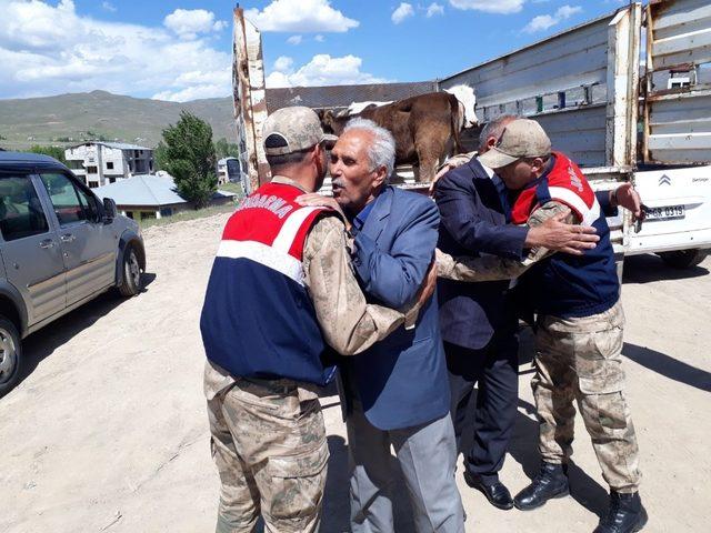 Yaylada çalınan hayvanları jandarma ekipleri buldu