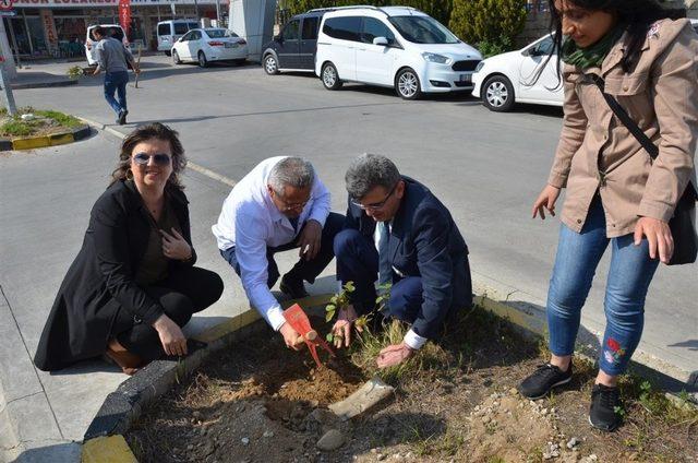 Üniversiteli öğrenciler hastane bahçesini çiçeklendirdi