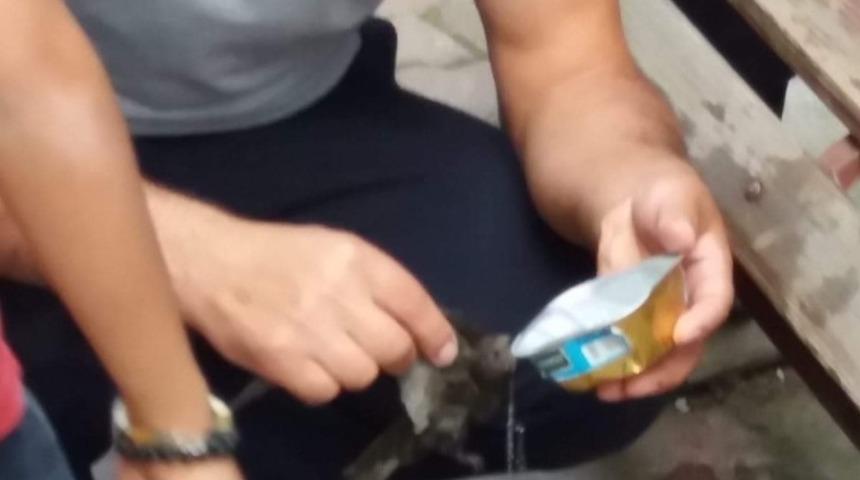 İpe dolanan kırlangıcı itfaiye ekipleri kurtardı