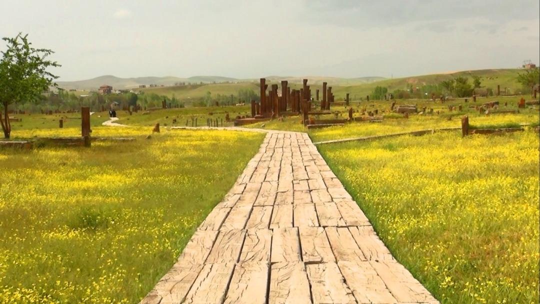 (&Ouml;zel Haber) Tarihi Sel&ccedil;uklu mezarlığı sarıya b&uuml;r&uuml;nd&uuml;