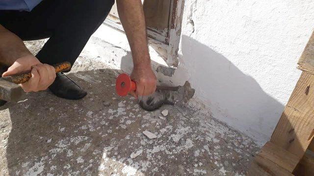 Kafası duvara sıkışan kedi kurtarıldı