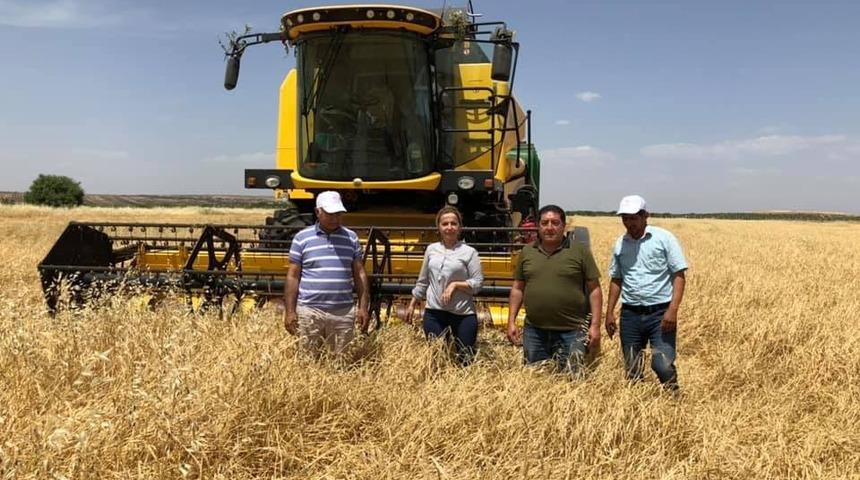 Kilis&rsquo;te Hububat Hasadı Başladı