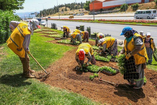 Büyükşehir Denizli’yi çiçeklerle donatıyor