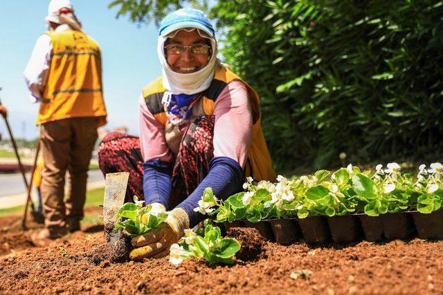 Büyükşehir Denizli’yi çiçeklerle donatıyor