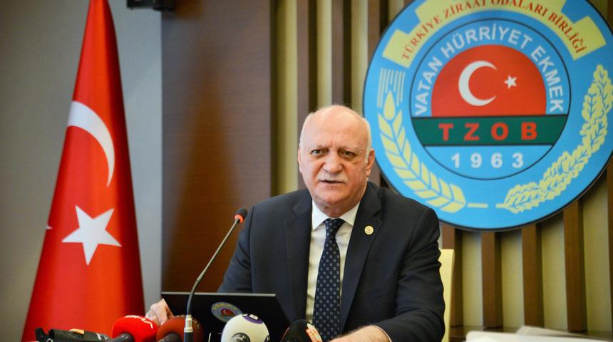 Bayraktar: Ramazanda fiyatı en fazla düşen ürün, salatalık oldu