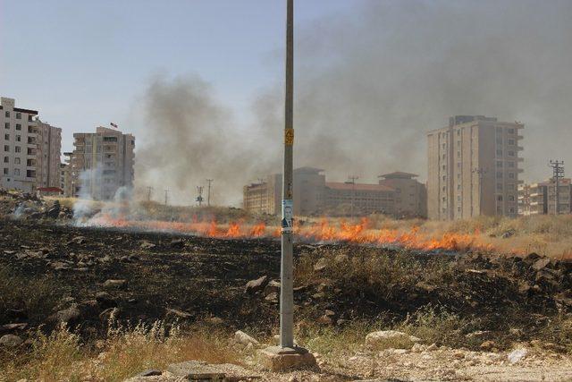 Şehir merkezinde çıkan arazi yangını çevredeki binaları etkiledi