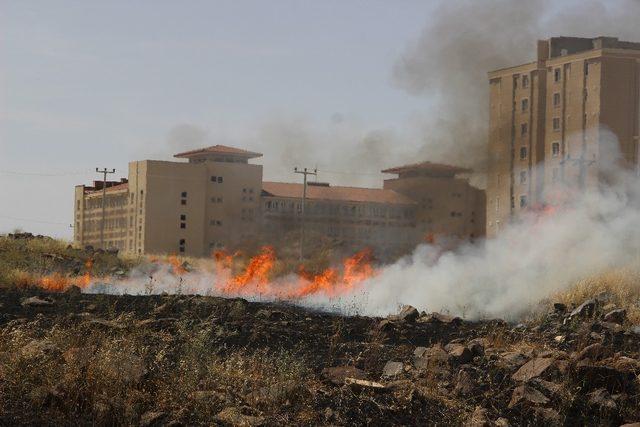 Şehir merkezinde çıkan arazi yangını çevredeki binaları etkiledi