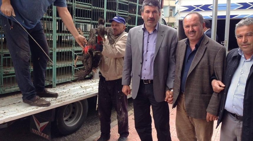 Akdağmadeni Ziraat Odası hindi ve tavuk dağıttı