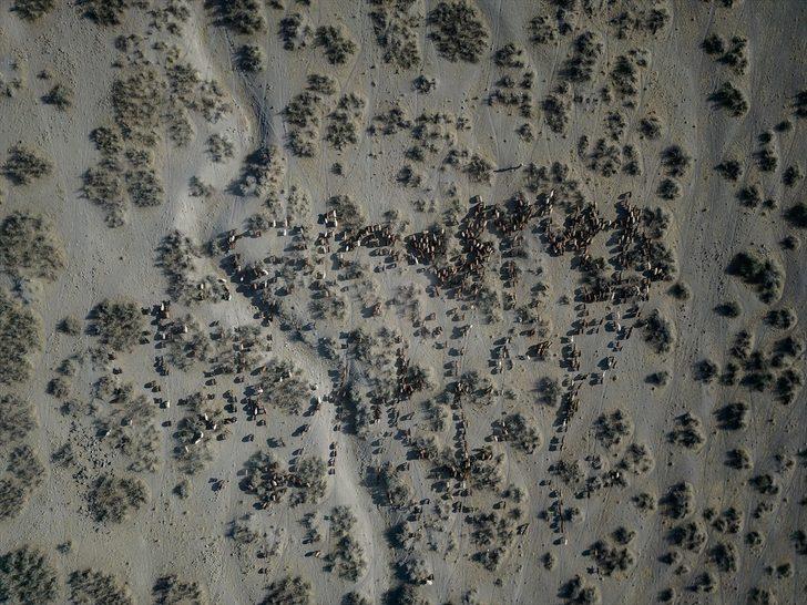 'Türkiye'nin çatısı'na göç başladı G2