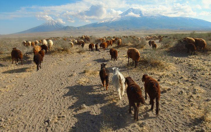 'Türkiye'nin çatısı'na göç başladı G5