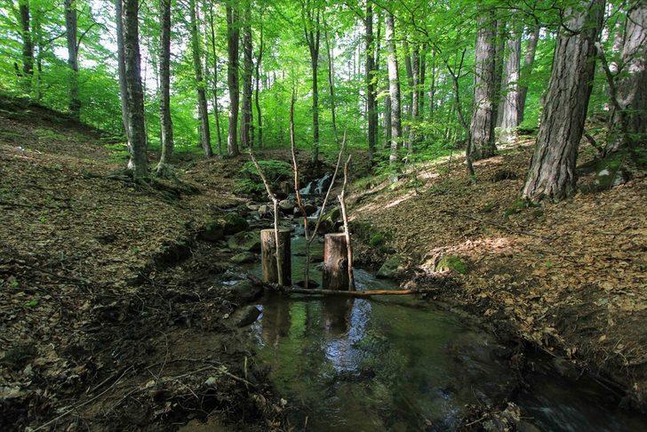 Doğa tutkunları akın akın buraya gidiyor G4