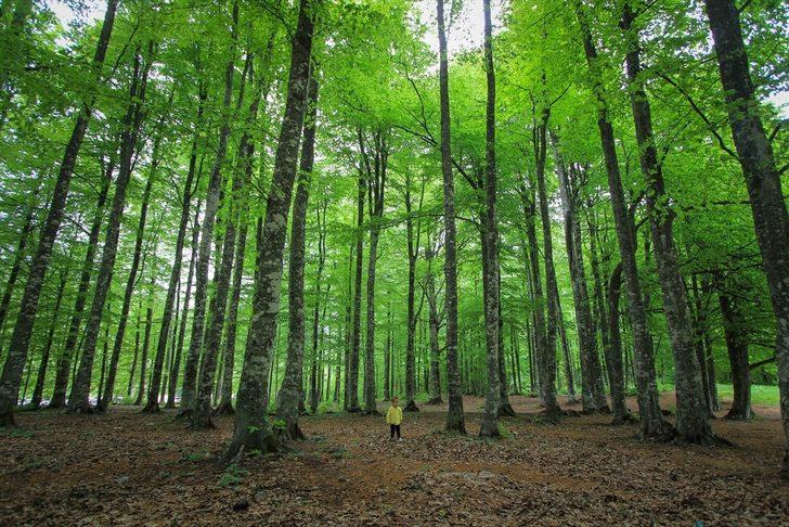 Doğa tutkunları akın akın buraya gidiyor G5