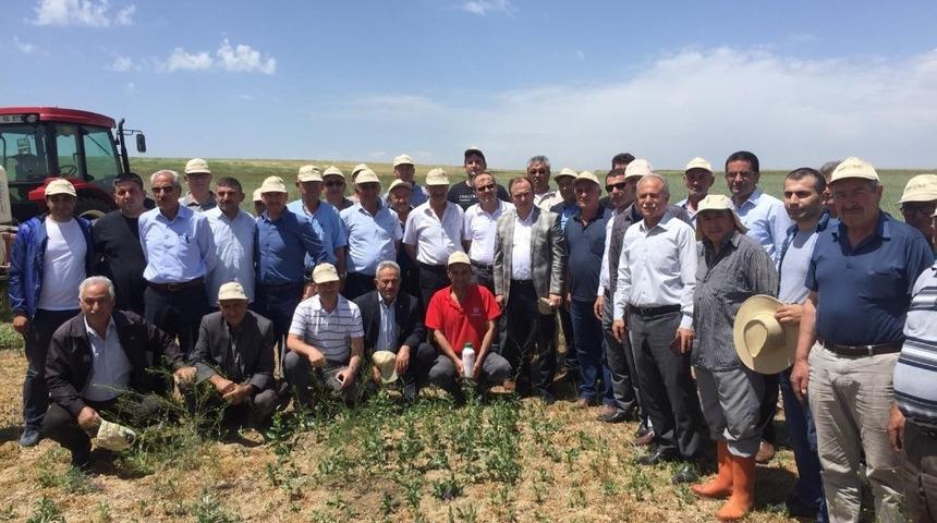 Kulu’da süne ile mücadele konulu uygulamalı tarla günü yapıldı
