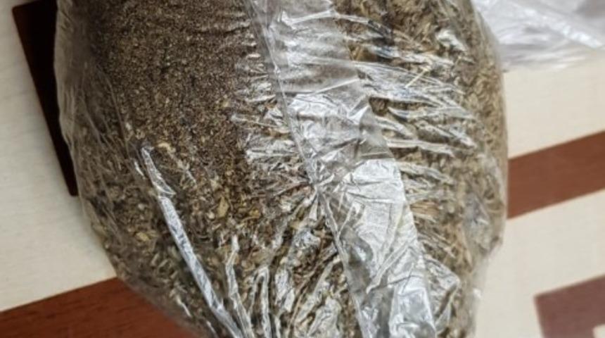 Erzurum&rsquo;da 1 kilogram bonzai ele ge&ccedil;irildi