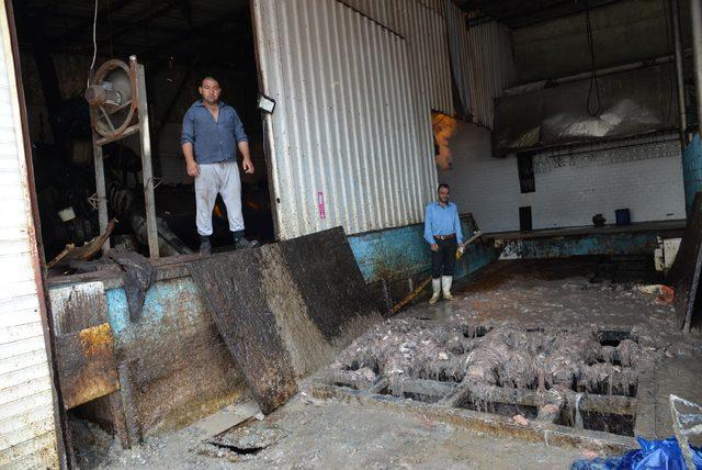 Menemen'de kötü koku yayan ruhsatsız balık işleme tesisi mühürlendi