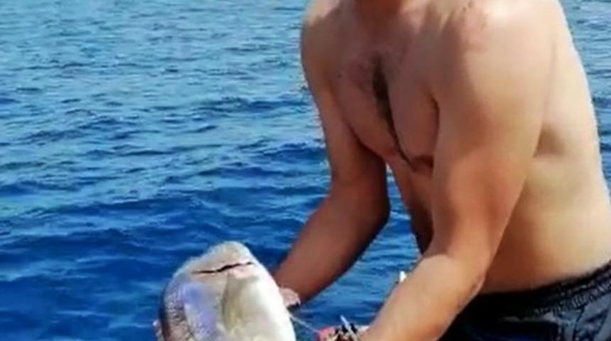 Denizde ka&ccedil;ak av denetimi