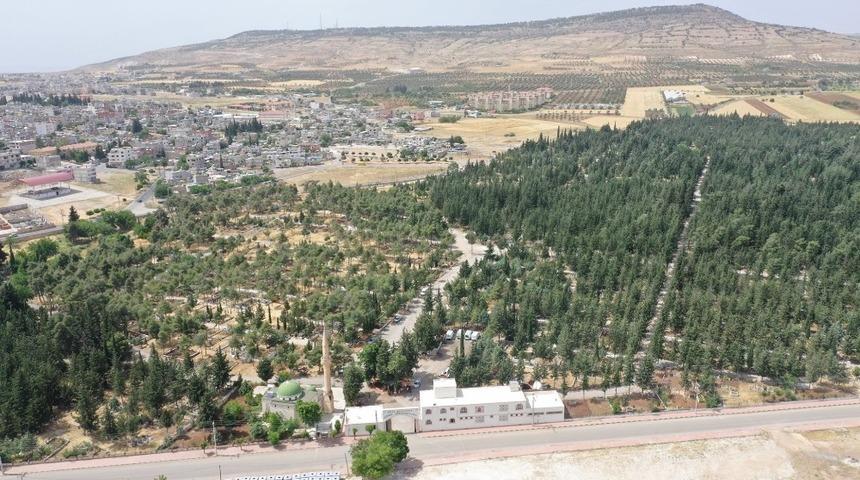 Asri Mezarlık bayrama hazır