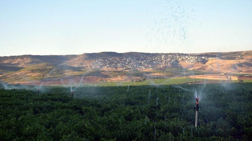 Kilisli çiftçiye 2.9 milyonluk destek