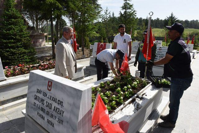 Çorum’da şehitlik çiçeklerle donatıldı