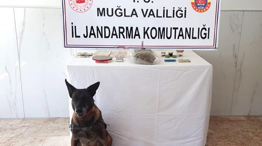 Fethiye&rsquo;de uyuşturucu operasyonu: 2 g&ouml;zaltı