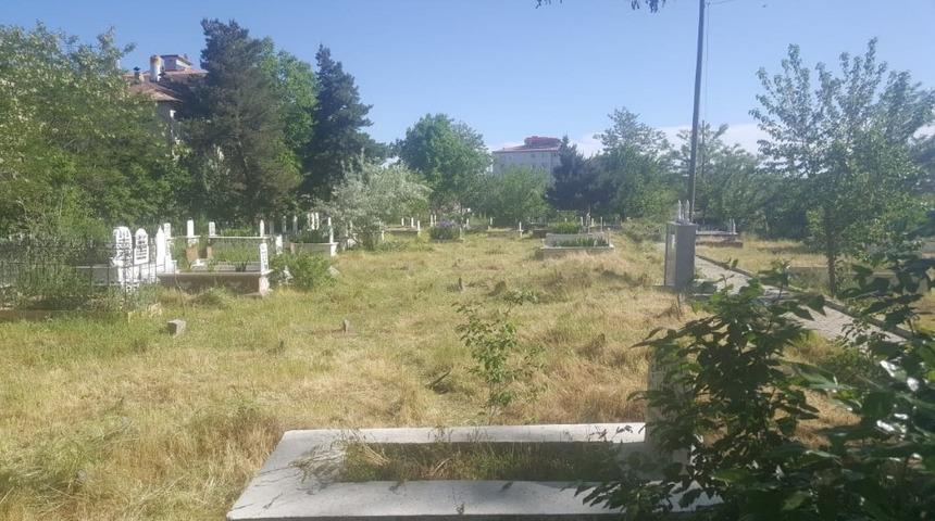 Erciş Belediyesi, havaların ısınmasıyla ila&ccedil;lama &ccedil;alışmalarına başladı