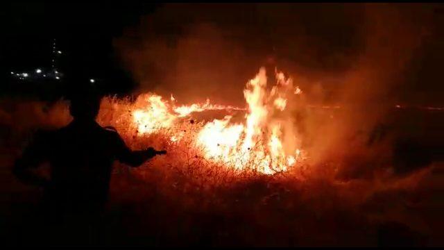 Suriye sınırında yangın