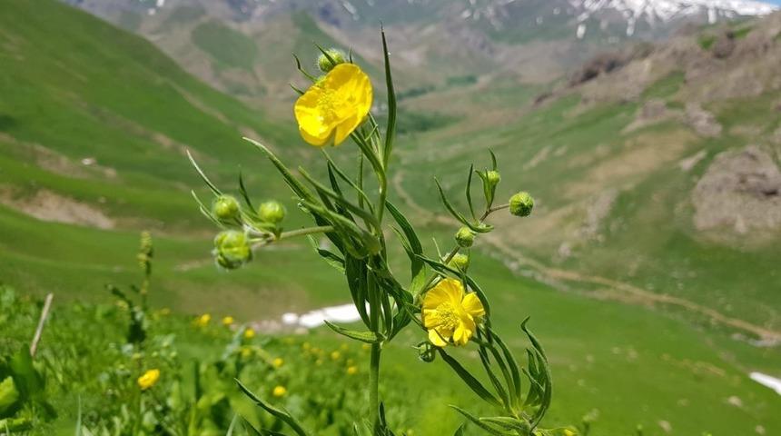 Keşfedilmemiş doğa harikaları g&ouml;z kamaştırıyor
