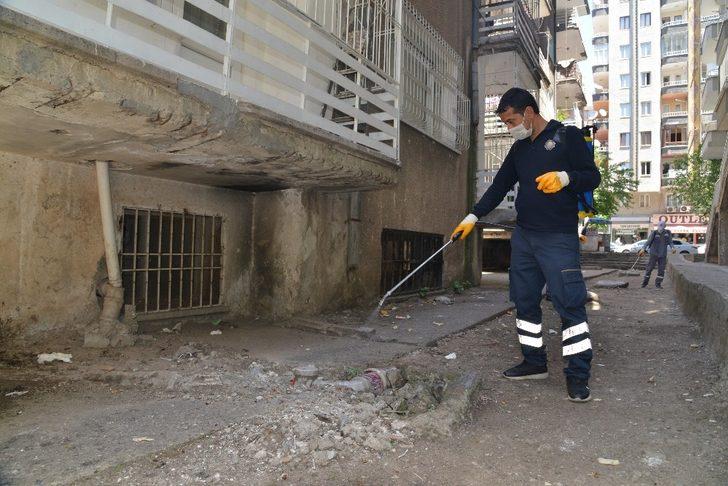 Diyarbakır Büyükşehir Belediyesi, ilaçlama çalışması başlattı G3