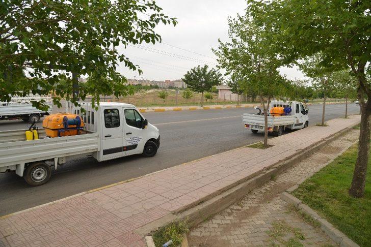 Diyarbakır Büyükşehir Belediyesi, ilaçlama çalışması başlattı G4