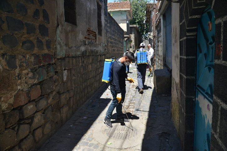 Diyarbakır Büyükşehir Belediyesi, ilaçlama çalışması başlattı G5