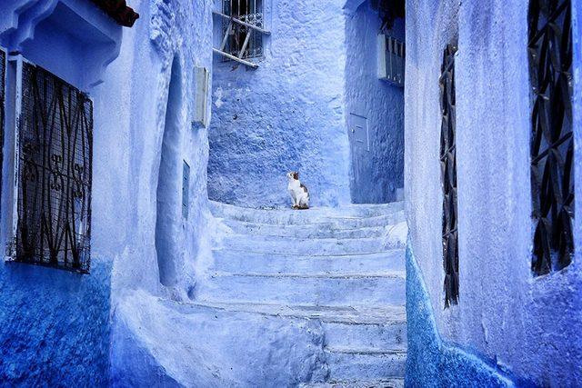 422355-880-1457695400-blue-streets-of-chefchaouen-morocco-4