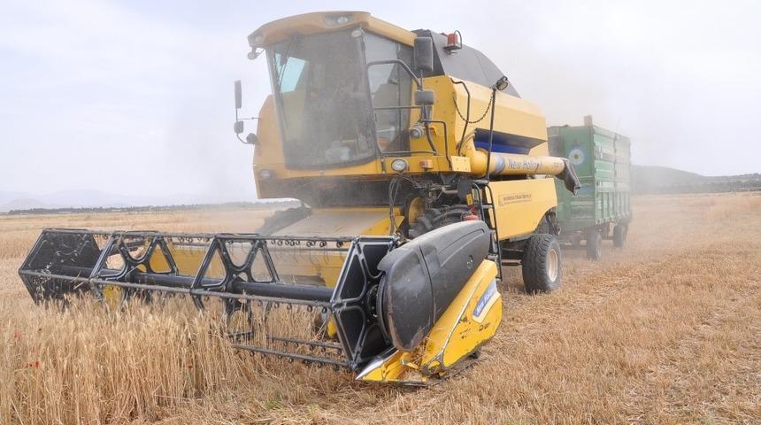 İslahiye&rsquo;de buğday ve arpa hasadı başladı