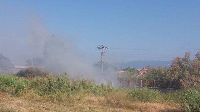 Burhaniye’de ot yangını korkuttu