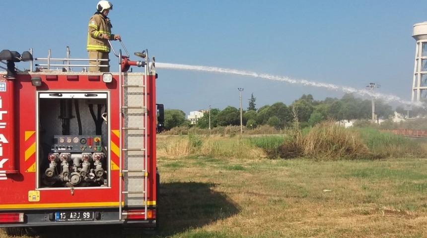 Burhaniye&rsquo;de ot yangını korkuttu