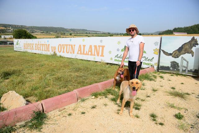 Adana'daki evcil hayvan otellerinin bayram rezervasyonları doldu