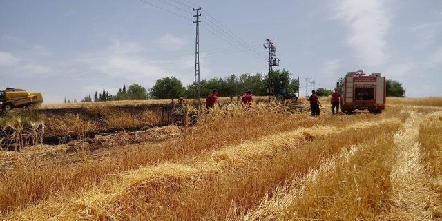 Arpa tarlasında yangın