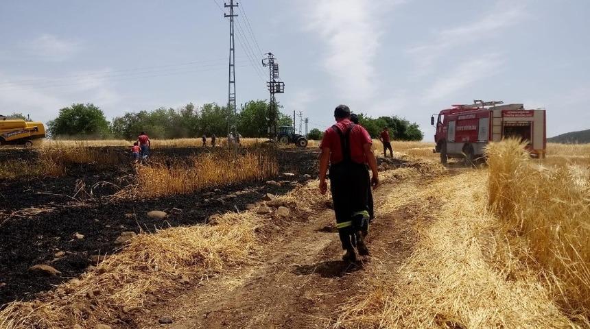 Arpa tarlasında yangın