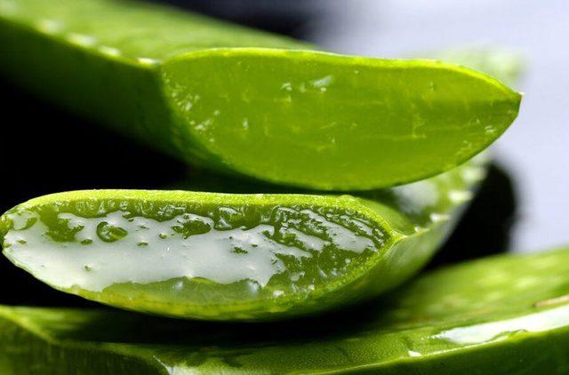 Son Zamanlarda Sıklıkla Duyduğumuz Aloe Vera Nedir?