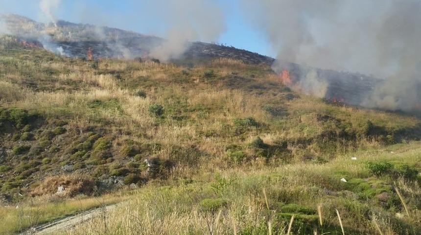 Erdek’te korkutan yangın